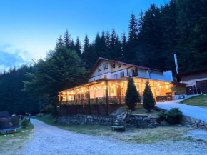 Barlogul din Vidraru, Curtea De Argeş